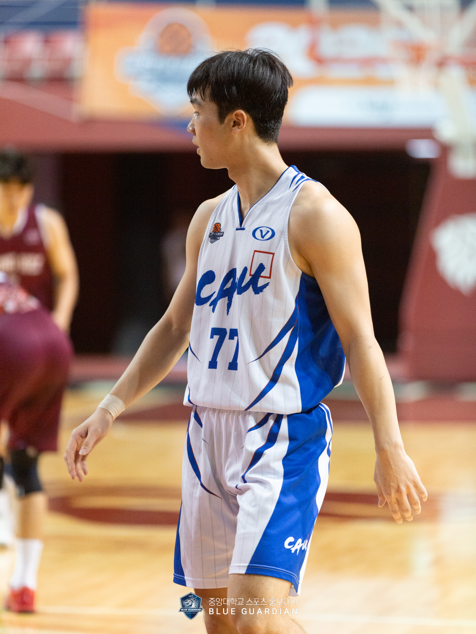 5P5B7262.jpg