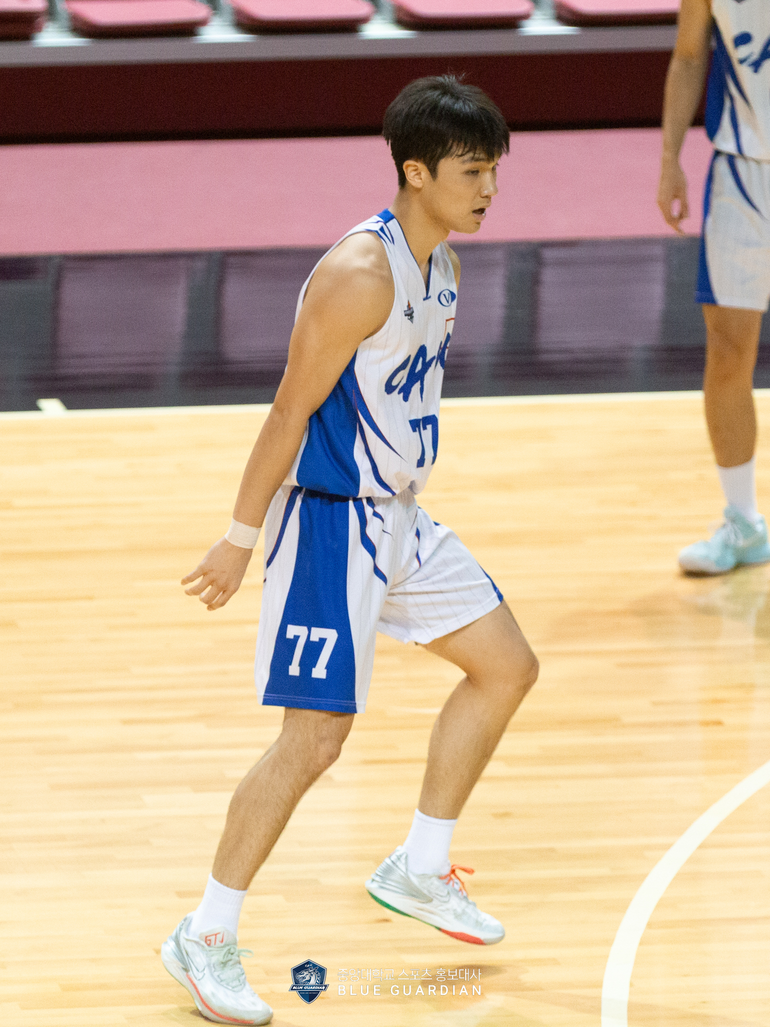 5P5B6860.jpg