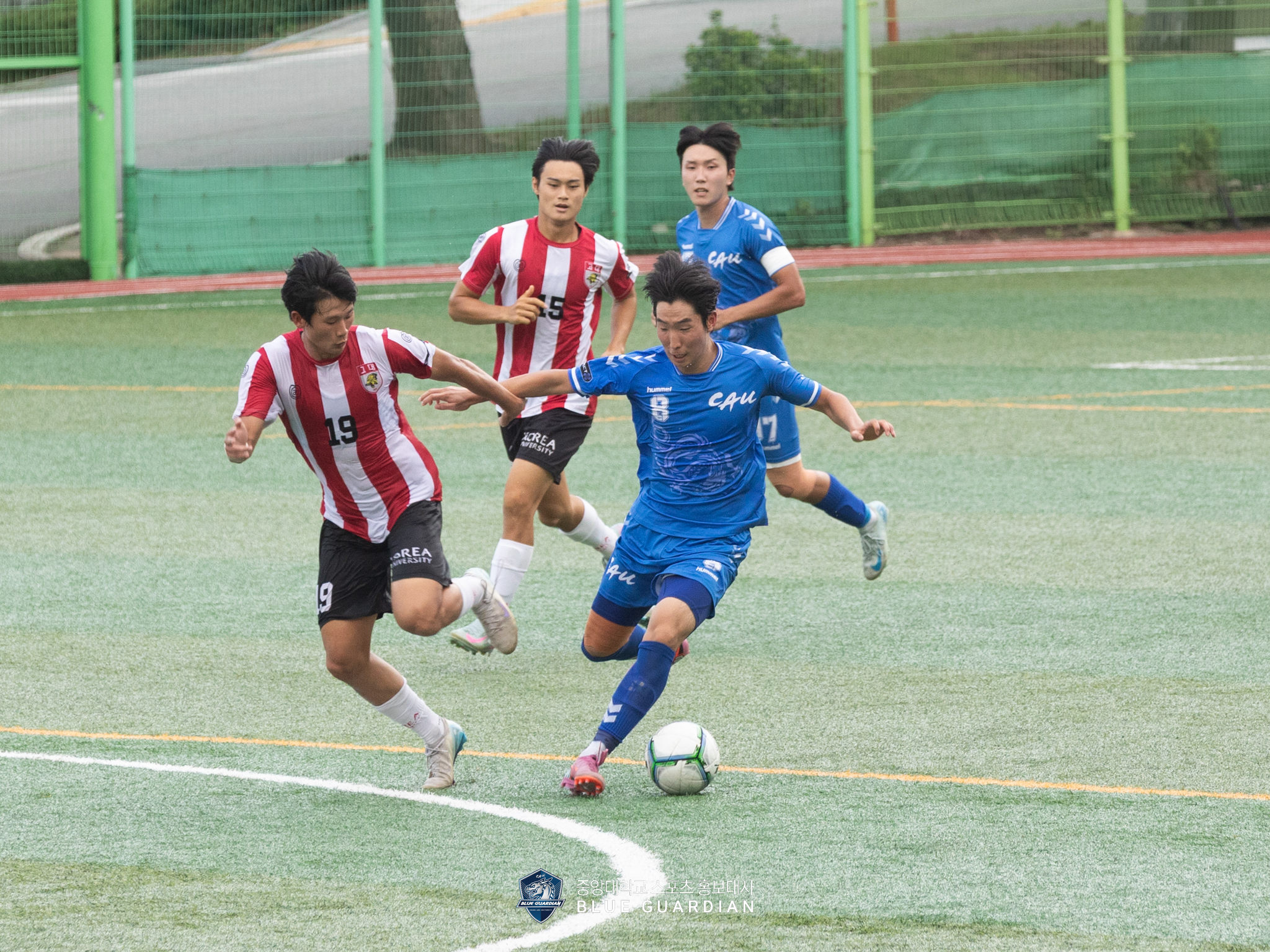 _D0A5817.jpg